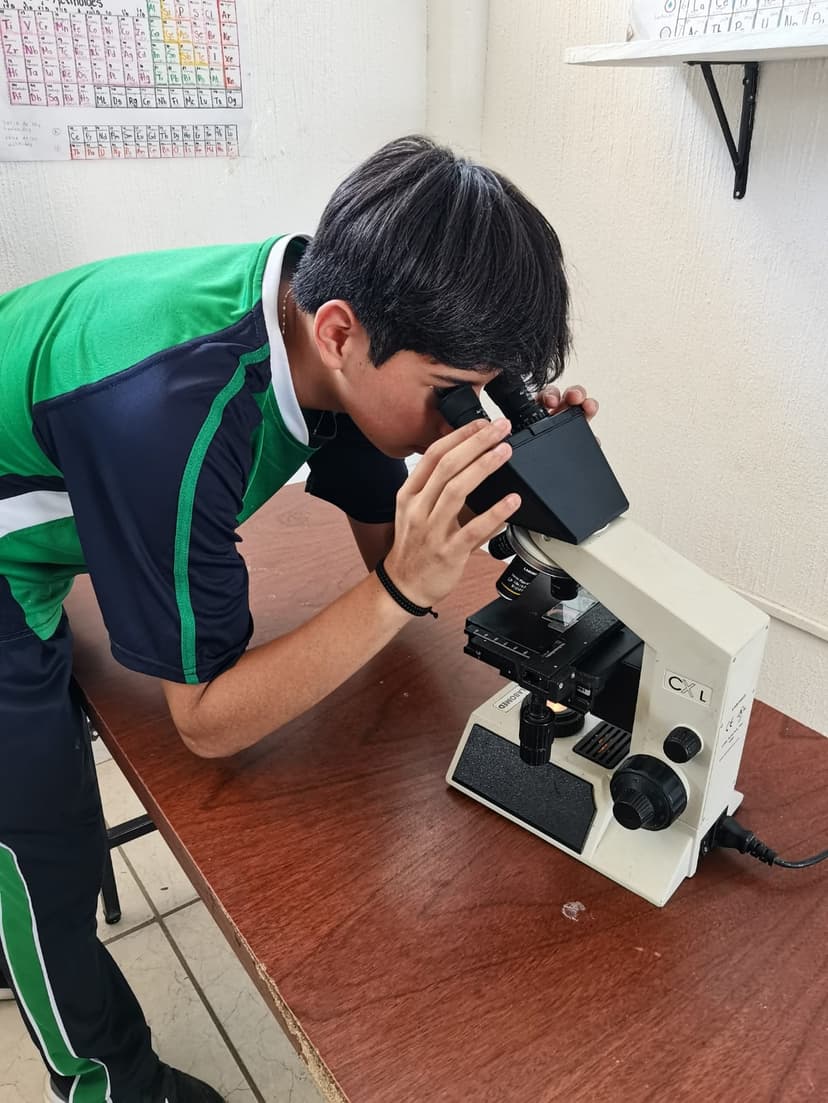 Ciencia que asombra: la curiosidad de tu hijo se convierte en descubrimiento real.